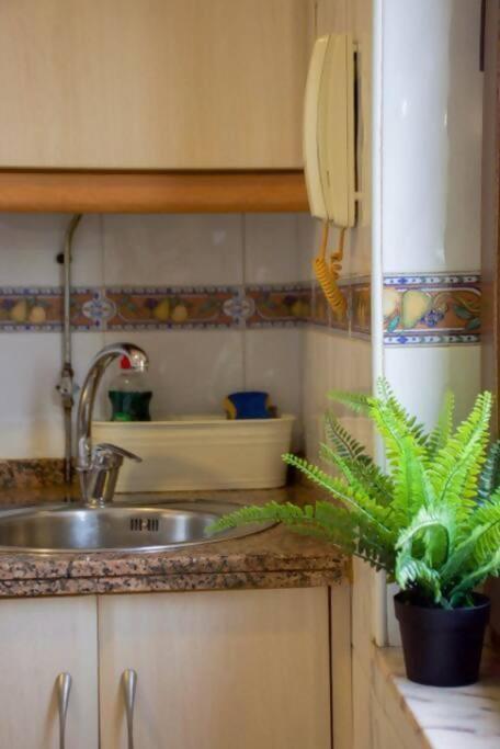 Apartament Conide, El Mirador Oviedo Zewnętrze zdjęcie