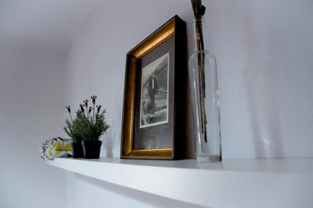 Apartament Conide, El Mirador Oviedo Zewnętrze zdjęcie